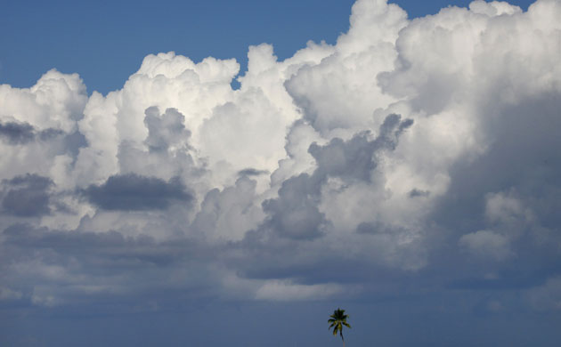 Week in Wildlife: Clouds move over a palm tree at a resort island at the Male Atoll