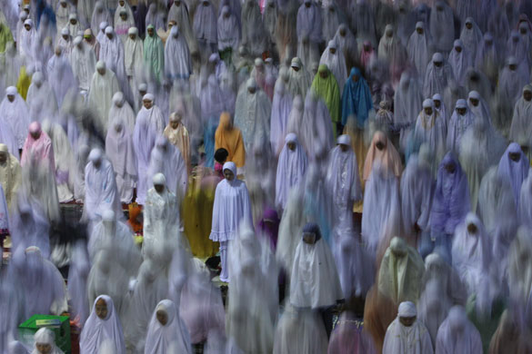 National Geographic: National Geographic International Photography Contest 2009