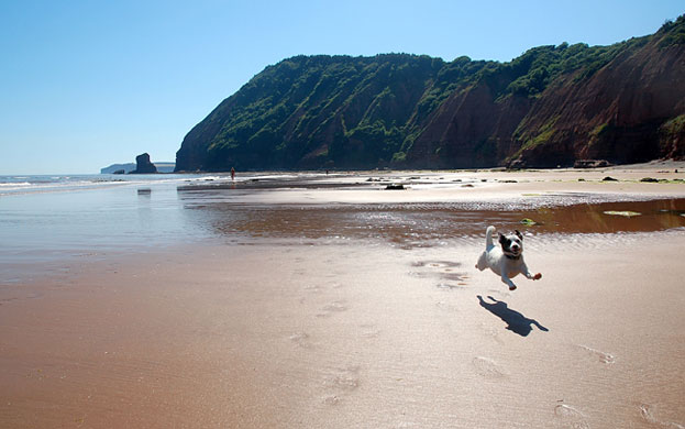 In Pictures: Inspiration: Mike Waldron