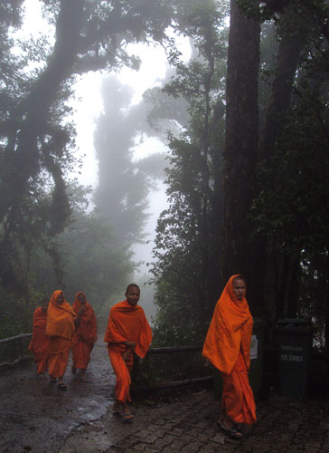 In Pictures: Inspiration: Brian Mitchell