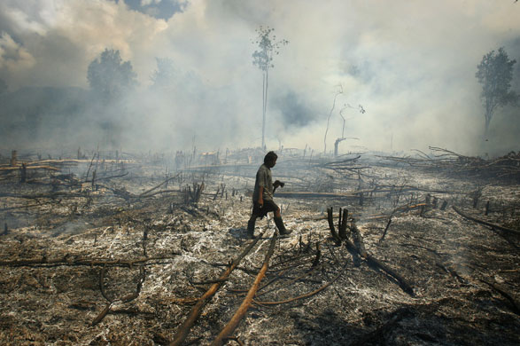 24 Hours In Pics: A villager walks through a burnt forest in Tojo