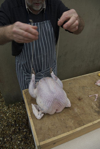 Turkey carving: Turkey carving