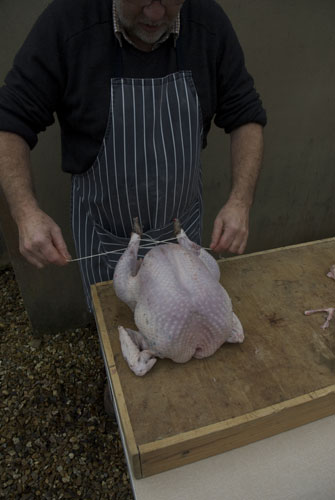 Turkey carving: Turkey carving