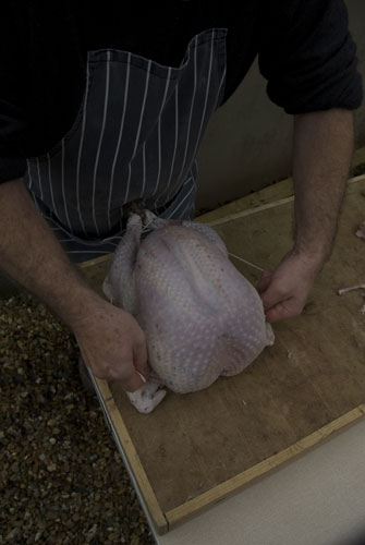 Turkey carving: Turkey carving