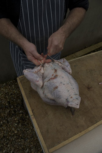 Turkey carving: Turkey carving