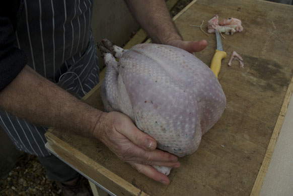 Turkey carving: Turkey carving