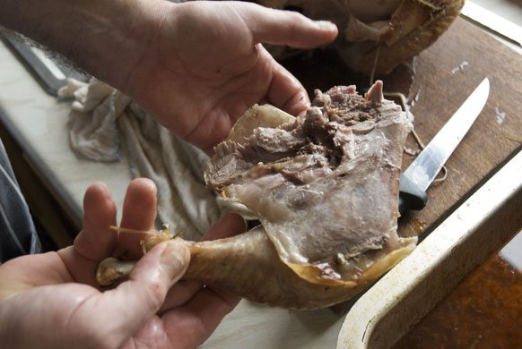 Turkey carving: Turkey carving