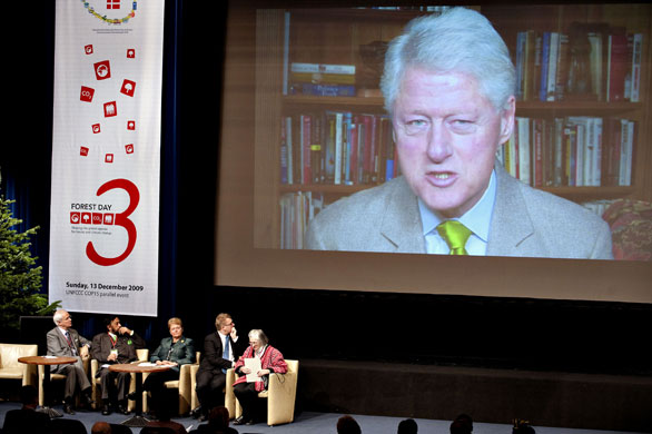 Copenhagen Diary: COP15 : Forest Day 3 