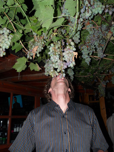 Been there photos: Man eating grapes