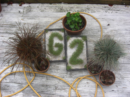 G2 Calendar: February by Kate Gorst