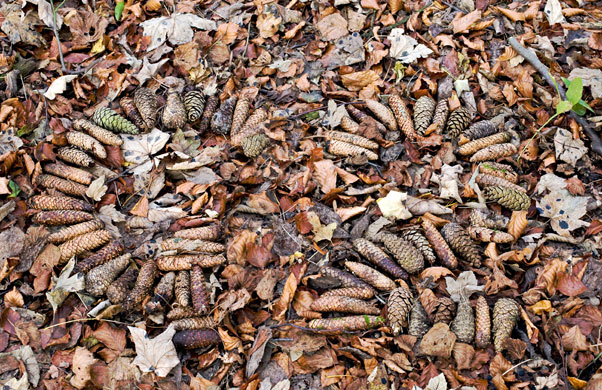 G2 Calendar: September by Peter Kewley