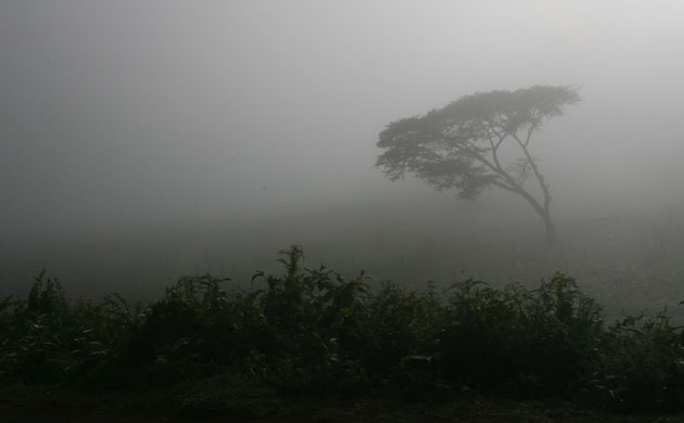 Week in wildlife: Environmental Destruction Threatens Kenya