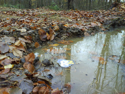 G2 calendar runners up: Tim Laversuch