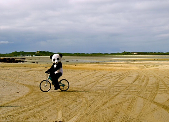 in pictures: fun: Carole Sheridan