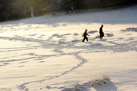 Snow in the UK: People walk through the snow in Knole park, Sevenoaks, Kent
