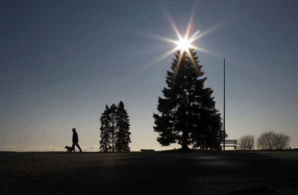 24 hours: Portland, Maine, USA: The rising sun tops a spruce tree