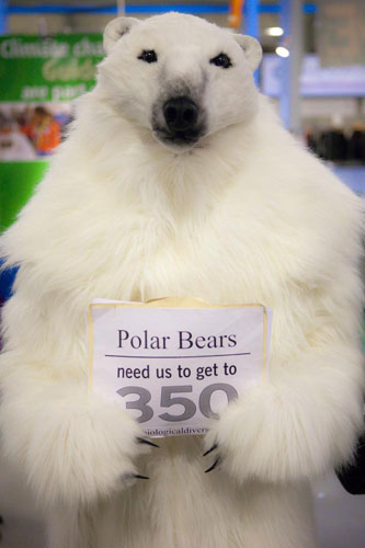 Flickr from Copenhagen: COP15 Pool 