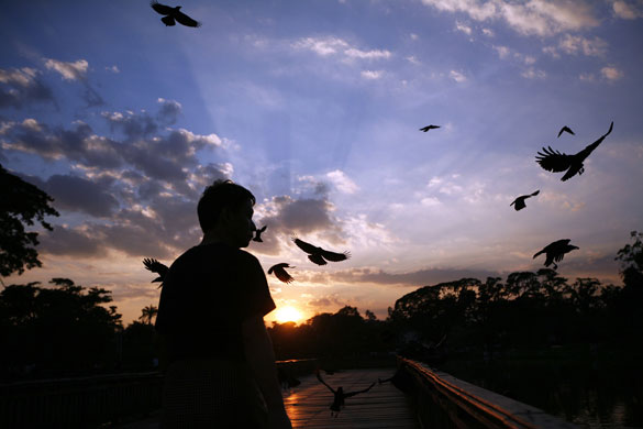 24 hours: Kandawgyi park in Burma