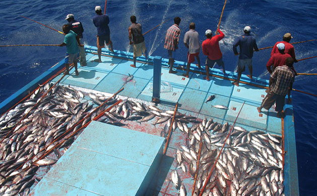 Vulnerable : Photo exhibition organised by Bluepeace on climate change in Maldives