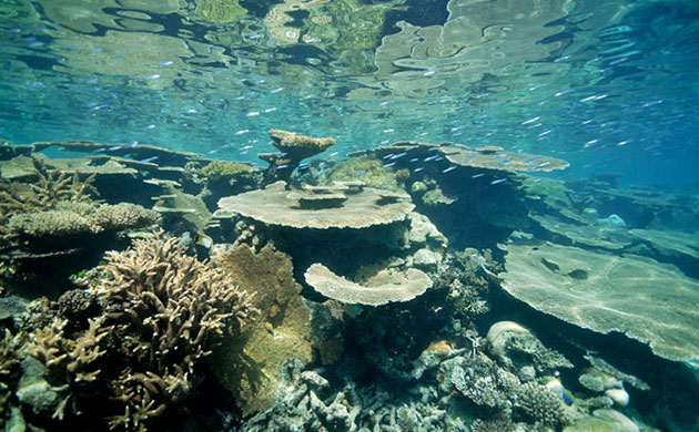 Vulnerable : Photo exhibition organised by Bluepeace on climate change in Maldives