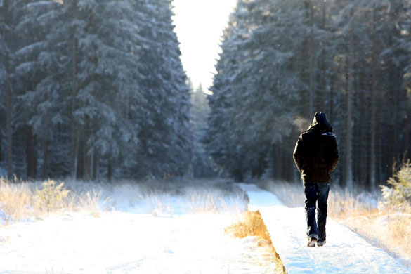 Snow around the world: Jalhay, Belgium: A man walks at the Botrange plateau