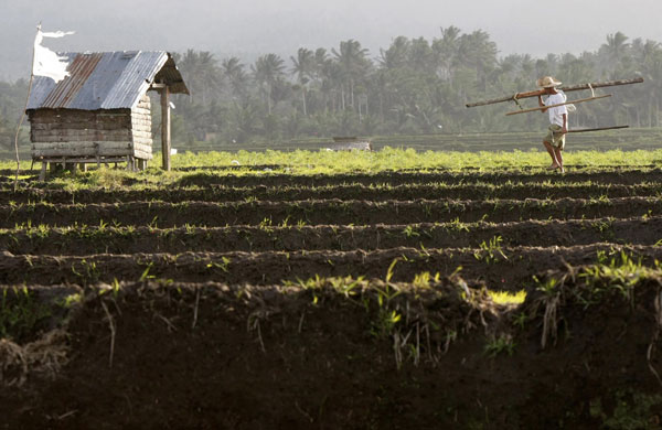 24 hours in pictures: Guinobatan, Philippines: A farmer near the foot of Mount Mayon volcano