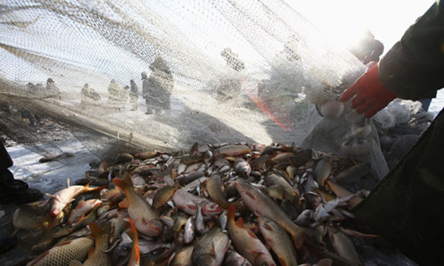 Chinese fishermen: Winter Fishing Season On The Chagan Lake