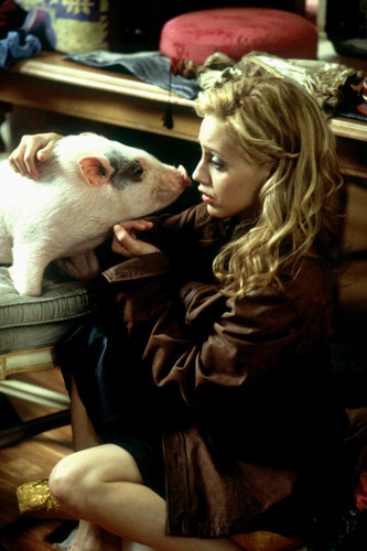 Brittany Murphy: 2003, UPTOWN GIRLS