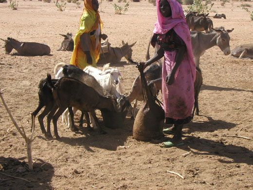 Christmas Kids for Kids: Christmas Kids for Kids