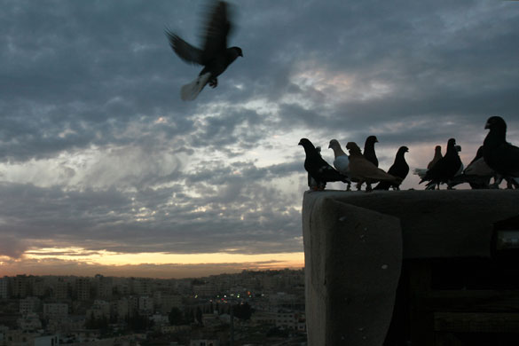 24 hours: Doves fly over the Jordanian capital of Amman
