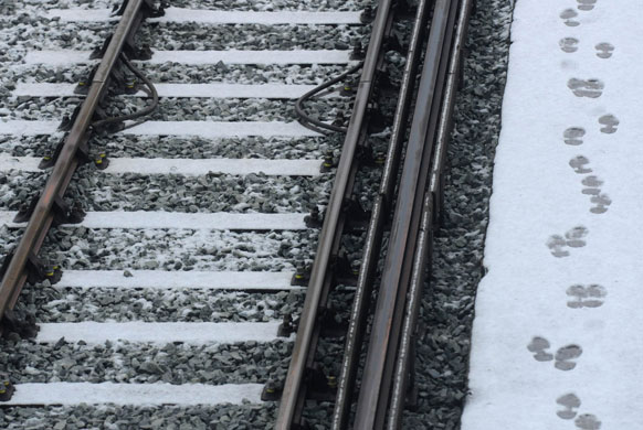 travel chaos: Footprints are seen in the snow at Clapham Junction