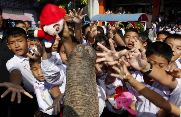 24 hours: An elephant dressed as Santa Claus in Thailand