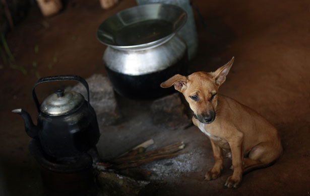 24 hours:  Tamil resettlement camp in Sri Lanka 