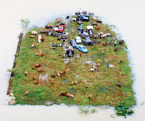 Photographs of the year: floodwaters malaysia