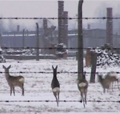 Exhibitions gallery 0210: Miroslaw Balka