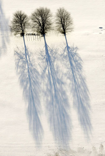24 hours in pictures: Bloomsburg, US: Trees between the athletic fields at Bloomsburg High School