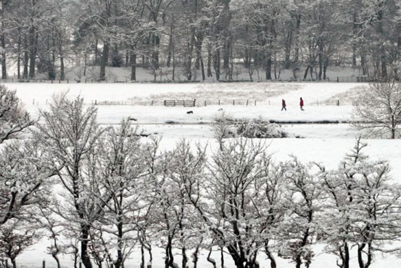 Snow on Christmas Eve: Heavy snow falls around Peebles in the Scottish Borders