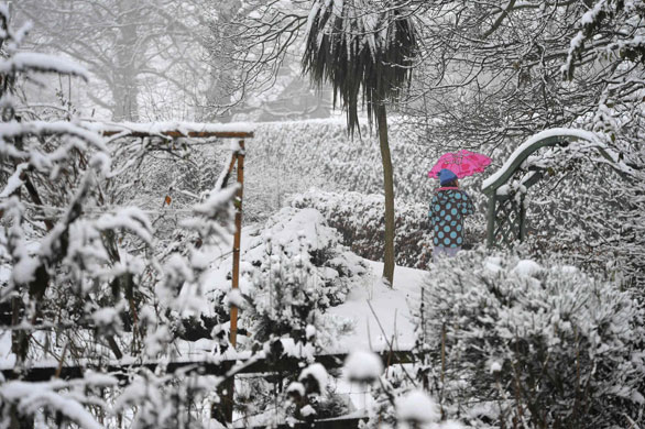 Snow on Christmas Eve: A young girl walking in snow in Helperby