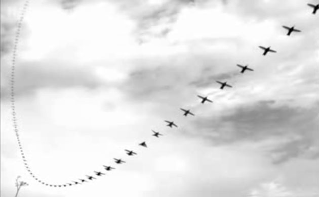 Science 2009: Anna's hummingbird chirps with its tail during display dives