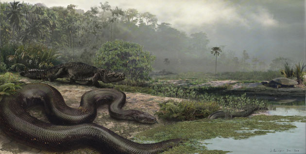 Science 2009: Giant snake remains discovered