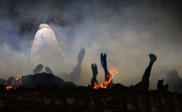 Pictures of the Decade: 23 March 2001: Cattle are incinerated at Ellonby because of foot-and-mouth 