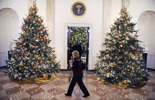 White House christmas: Christmas trees in The Grand Foyer