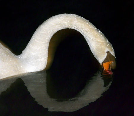 In Pictures: Elegance: Peter Boardman