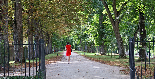 In Pictures: Elegance: Garry Crompton