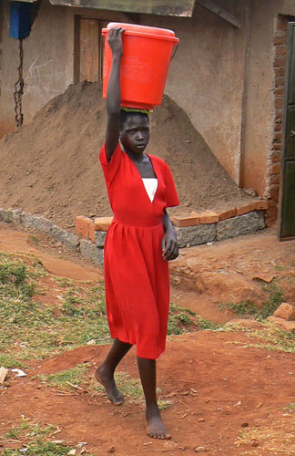 In Pictures: Elegance: Matt Jones