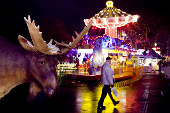 Winter Wonderland: A plastic reindeer looks on