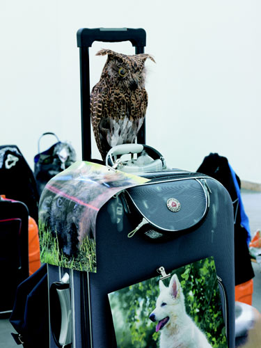 Artworks of the noughties: Isa Genzken, Oil