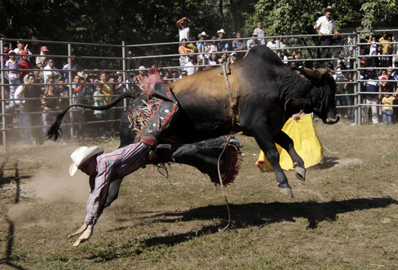 24 hours in pictures: A cowboy falls from a bull during a rodeo show in El Salvador