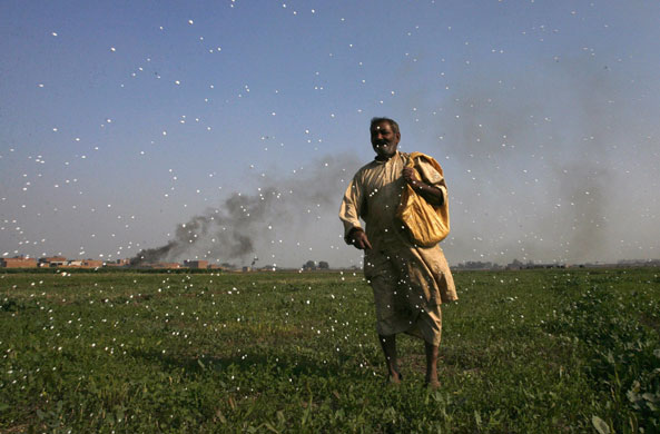 24 hours in pictures: A man sprinkles insecticide over a field in Lahore, Pakistan