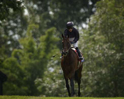 Mick Kinane Life: Mick Kinane and Hawk Wing return after landing the Eclipse Stakes